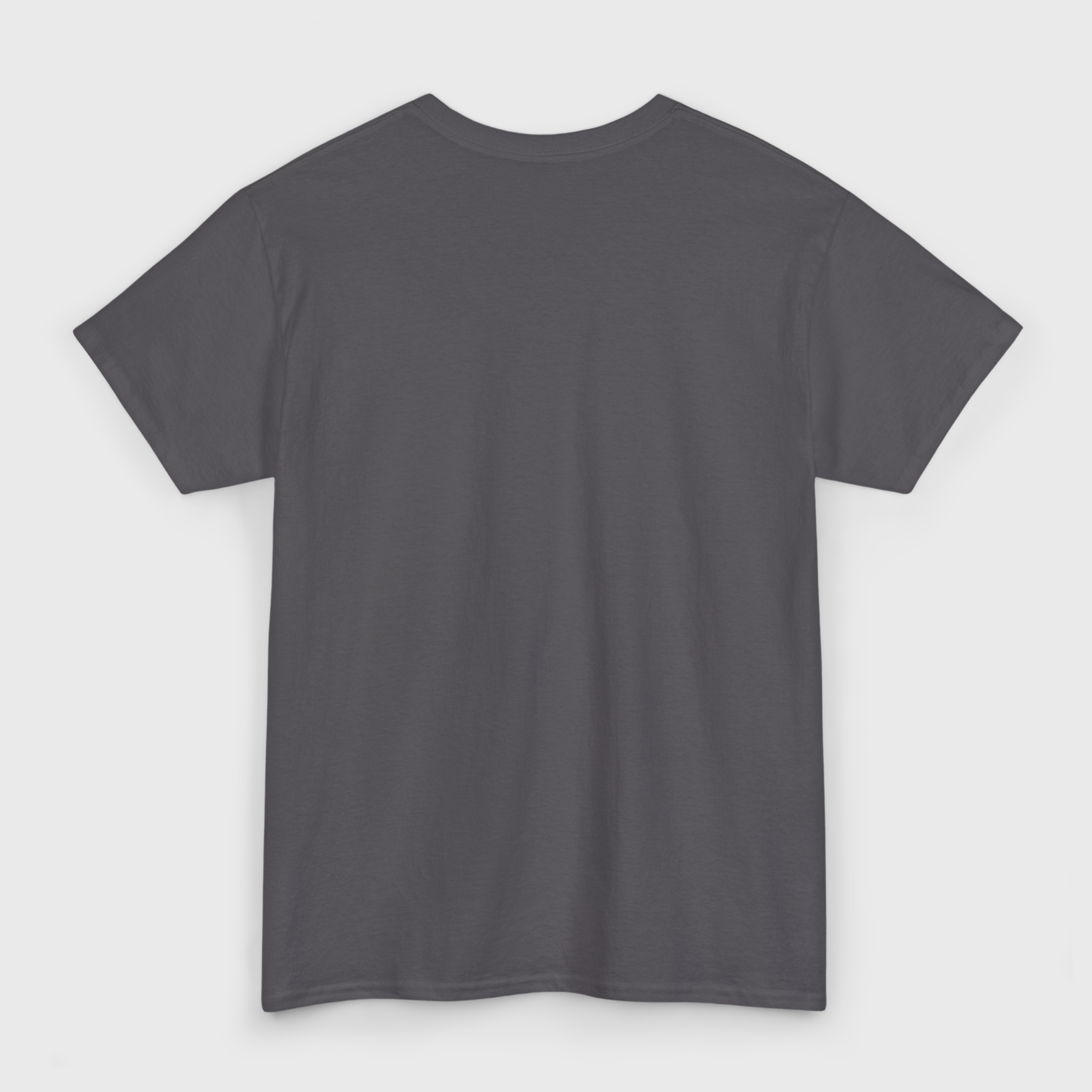 Chase the Horizon Graphic Tee – Charcoal Heavyweight T-Shirt