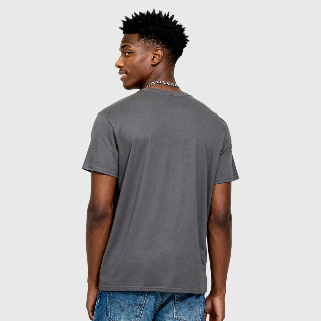 Chase the Horizon Graphic Tee – Charcoal Heavyweight T-Shirt